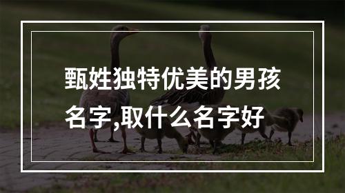 甄姓独特优美的男孩名字,取什么名字好