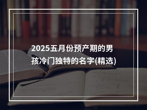 2025五月份预产期的男孩冷门独特的名字(精选)
