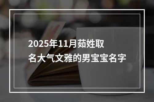 2025年11月茹姓取名大气文雅的男宝宝名字