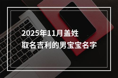 2025年11月盖姓取名吉利的男宝宝名字