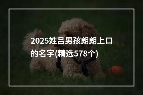 2025姓吕男孩朗朗上口的名字(精选578个)