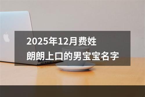 2025年12月费姓朗朗上口的男宝宝名字