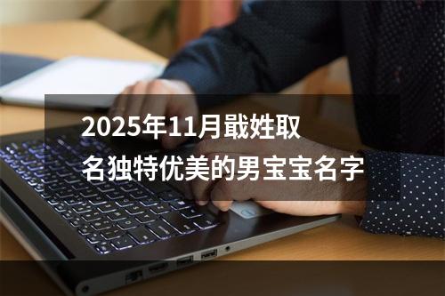 2025年11月戢姓取名独特优美的男宝宝名字