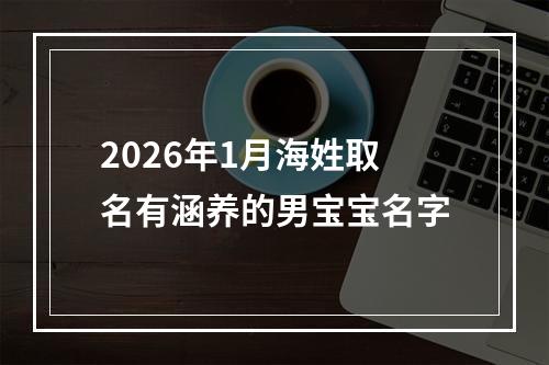 2026年1月海姓取名有涵养的男宝宝名字