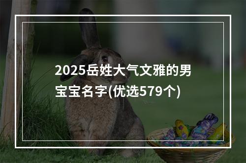 2025岳姓大气文雅的男宝宝名字(优选579个)