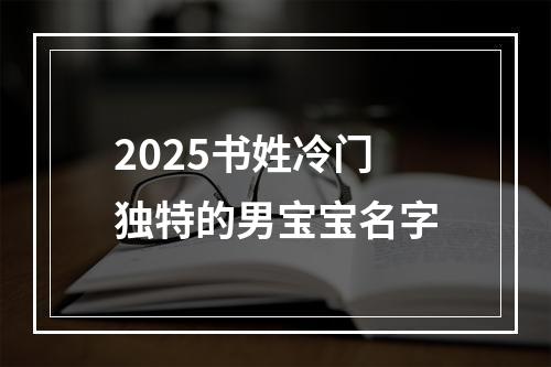 2025书姓冷门独特的男宝宝名字