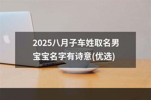 2025八月子车姓取名男宝宝名字有诗意(优选)