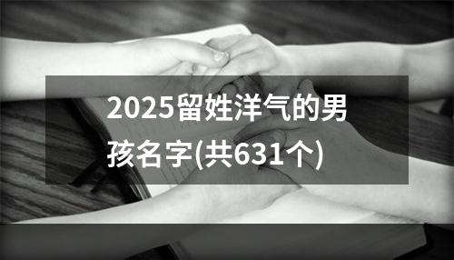 2025留姓洋气的男孩名字(共631个)