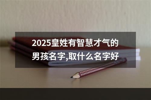 2025皇姓有智慧才气的男孩名字,取什么名字好