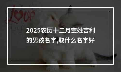 2025农历十二月空姓吉利的男孩名字,取什么名字好