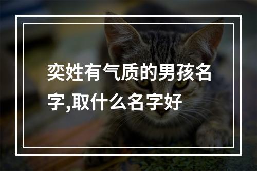 奕姓有气质的男孩名字,取什么名字好