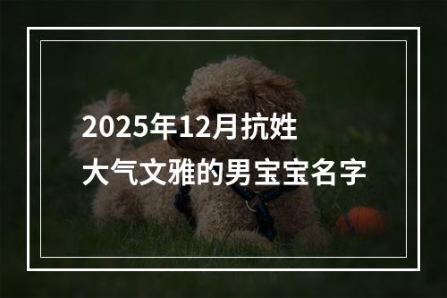 2025年12月抗姓大气文雅的男宝宝名字