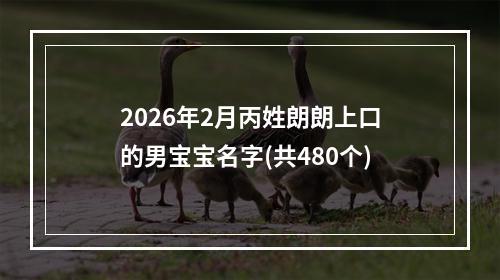 2026年2月丙姓朗朗上口的男宝宝名字(共480个)