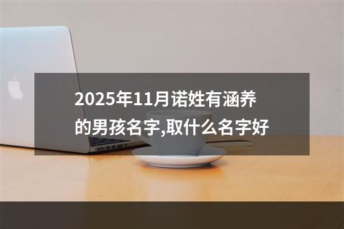 2025年11月诺姓有涵养的男孩名字,取什么名字好