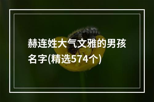 赫连姓大气文雅的男孩名字(精选574个)