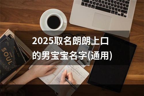 2025取名朗朗上口的男宝宝名字(通用)