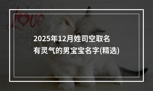 2025年12月姓司空取名有灵气的男宝宝名字(精选)