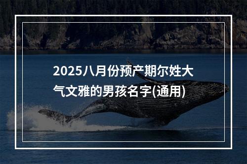 2025八月份预产期尔姓大气文雅的男孩名字(通用)