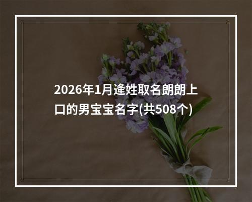 2026年1月逄姓取名朗朗上口的男宝宝名字(共508个)