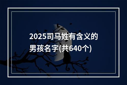 2025司马姓有含义的男孩名字(共640个)