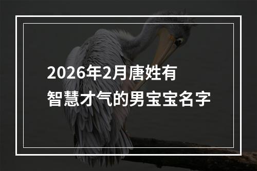 2026年2月唐姓有智慧才气的男宝宝名字