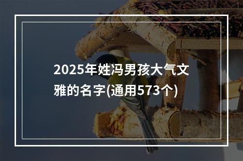 2025年姓冯男孩大气文雅的名字(通用573个)