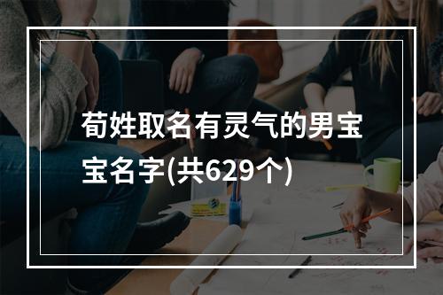 荀姓取名有灵气的男宝宝名字(共629个)