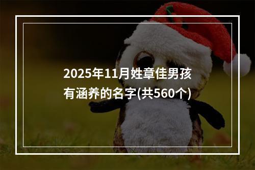 2025年11月姓章佳男孩有涵养的名字(共560个)