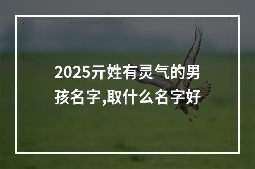 2025亓姓有灵气的男孩名字,取什么名字好