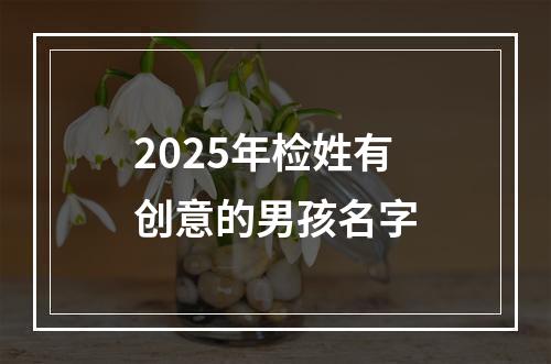 2025年检姓有创意的男孩名字