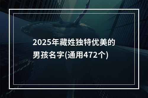 2025年藏姓独特优美的男孩名字(通用472个)