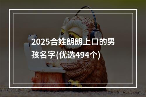 2025合姓朗朗上口的男孩名字(优选494个)