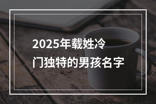 2025年载姓冷门独特的男孩名字
