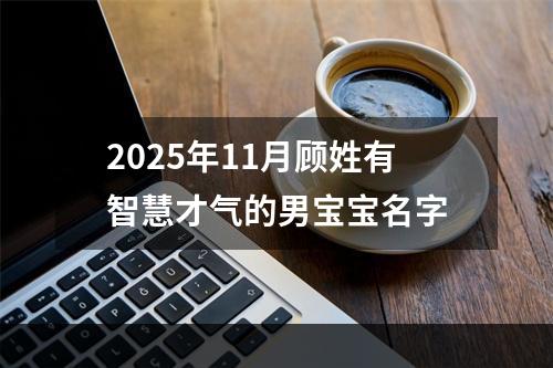 2025年11月顾姓有智慧才气的男宝宝名字