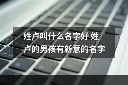 姓卢叫什么名字好 姓卢的男孩有新意的名字