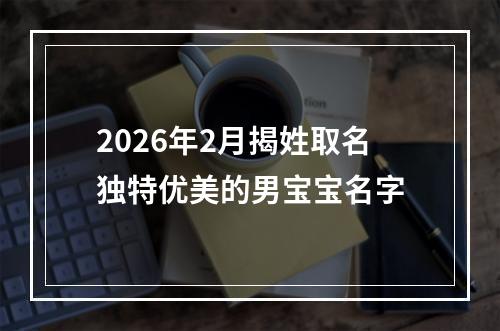 2026年2月揭姓取名独特优美的男宝宝名字