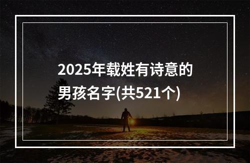 2025年载姓有诗意的男孩名字(共521个)