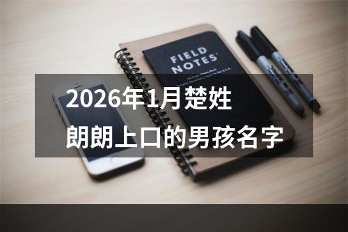 2026年1月楚姓朗朗上口的男孩名字