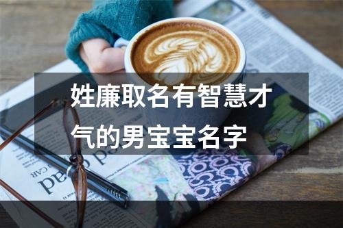 姓廉取名有智慧才气的男宝宝名字