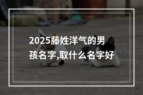 2025藤姓洋气的男孩名字,取什么名字好