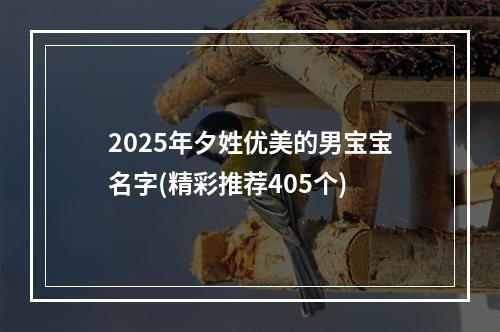 2025年夕姓优美的男宝宝名字(精彩推荐405个)