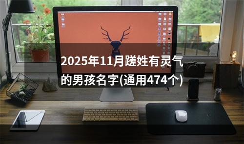 2025年11月蹉姓有灵气的男孩名字(通用474个)