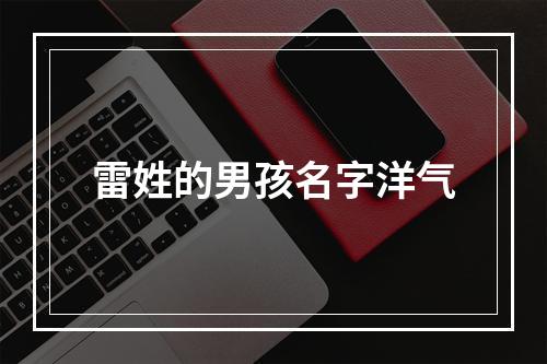 雷姓的男孩名字洋气