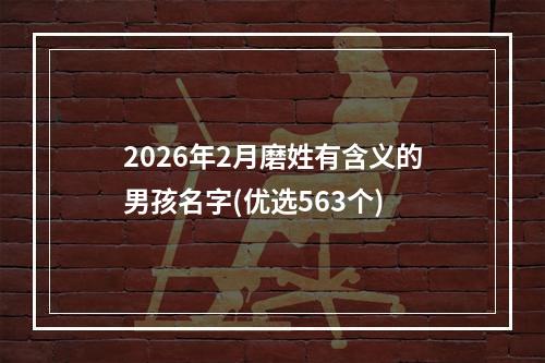 2026年2月磨姓有含义的男孩名字(优选563个)