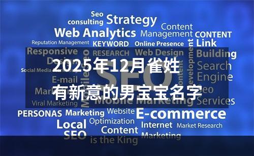 2025年12月雀姓有新意的男宝宝名字