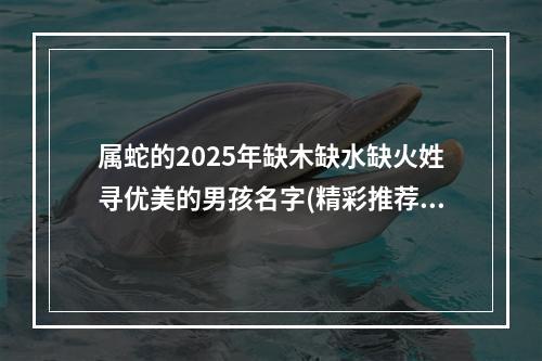 属蛇的2025年缺木缺水缺火姓寻优美的男孩名字(精彩推荐)