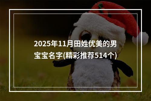 2025年11月田姓优美的男宝宝名字(精彩推荐514个)