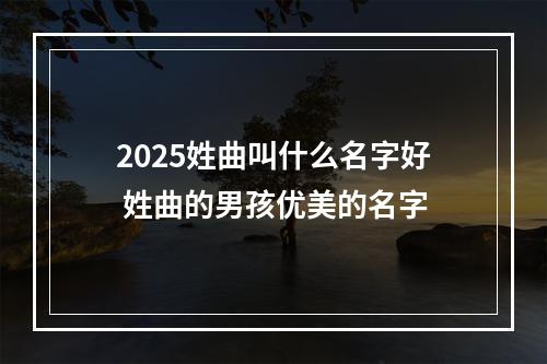 2025姓曲叫什么名字好 姓曲的男孩优美的名字