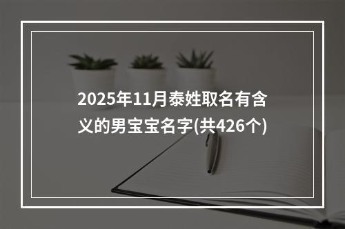 2025年11月泰姓取名有含义的男宝宝名字(共426个)