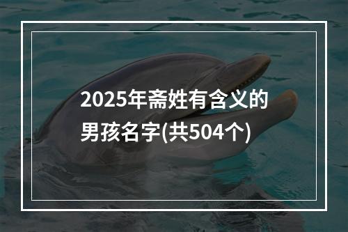 2025年斋姓有含义的男孩名字(共504个)